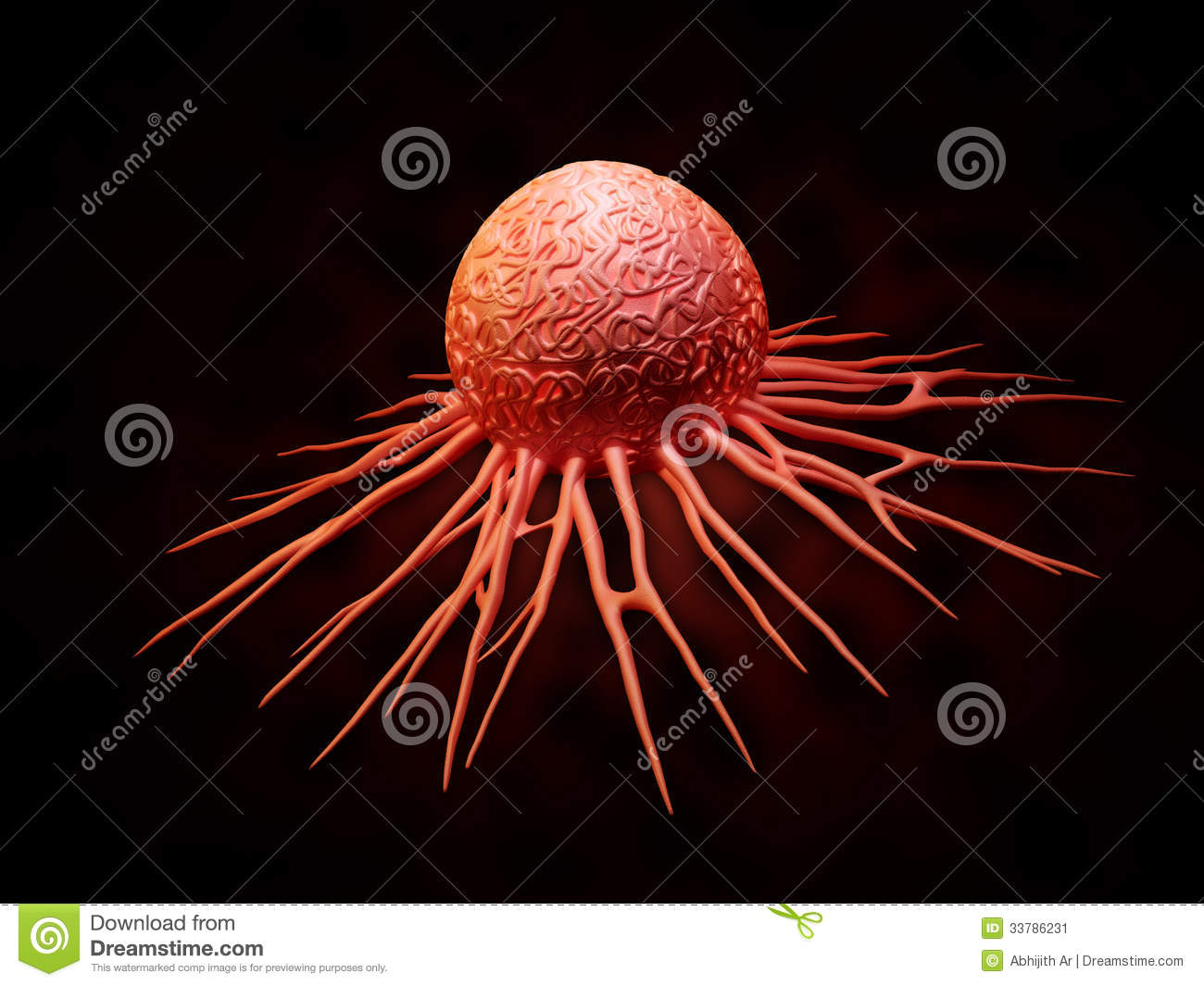 Cancer Cell Stock Image   Image  33786231