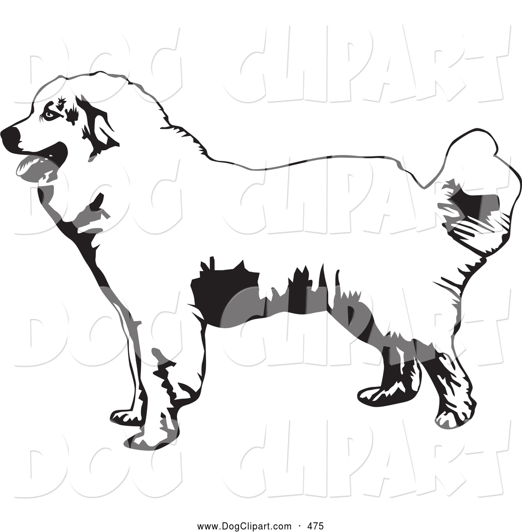 Clip Art Of A Panting And Friendly Great Pyrenees Mountain Dog