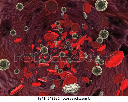 Clip Art Of Blood Cells 1574r 018972   Search Clipart Illustration