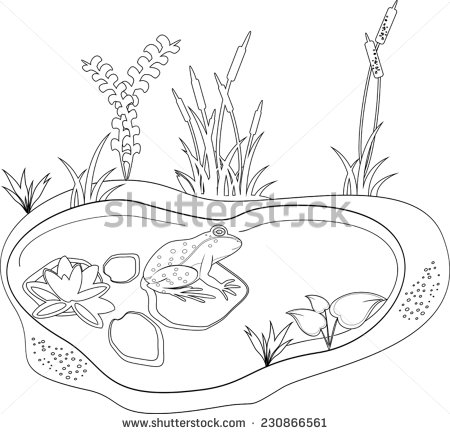Coloring With A Frog And Pond   Stock Vector