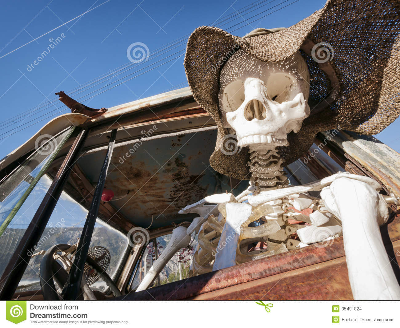 Dead Driver Stock Images   Image  35491824
