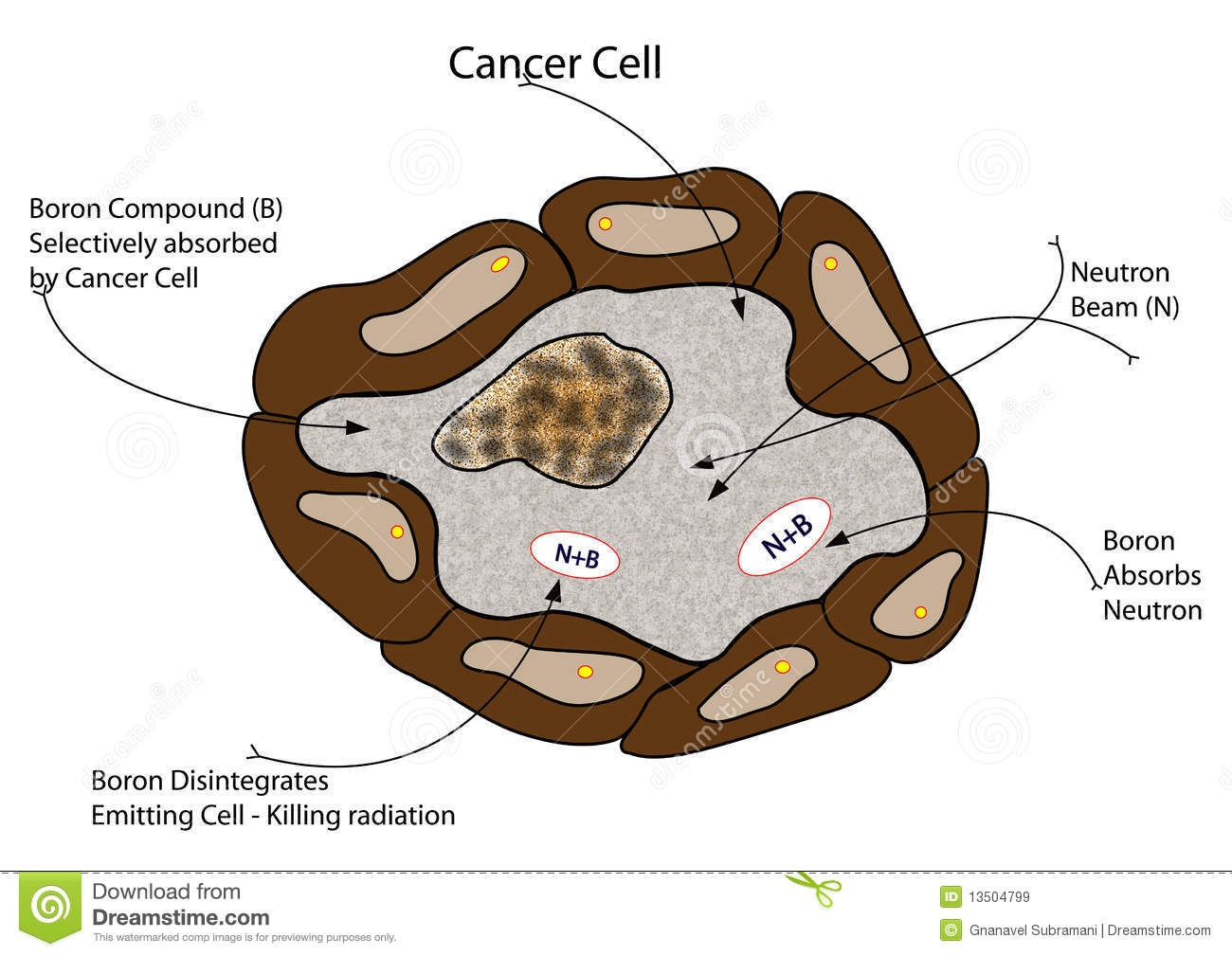 Illustration Of An Isolated Cancer Cells