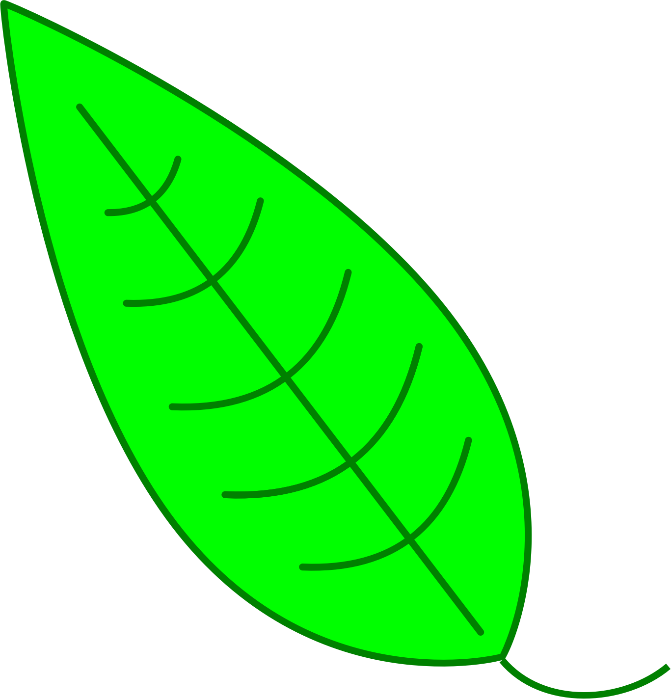 Leaf   Green Simple Leaf