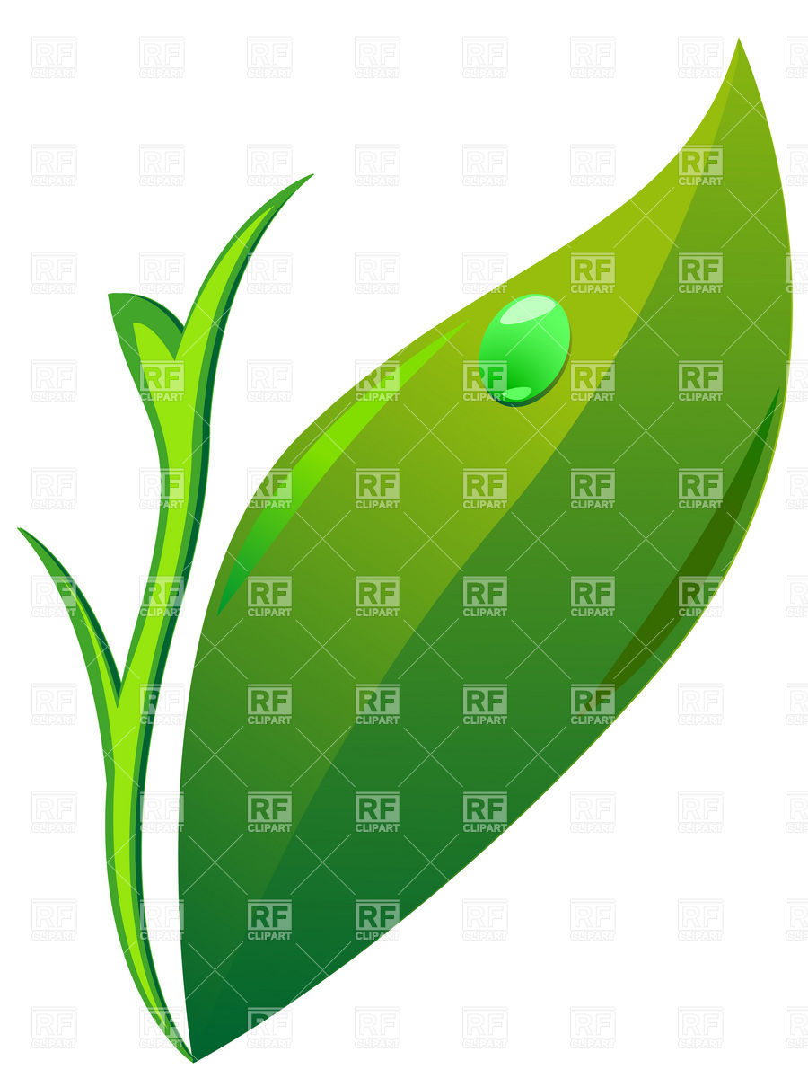 Simple Green Leaf Download Royalty Free Vector Clipart  Eps 