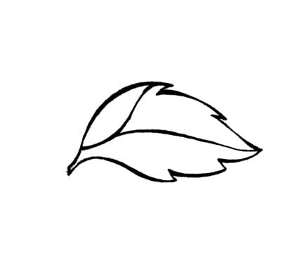 Simple Leaf Outline   Clipart Best