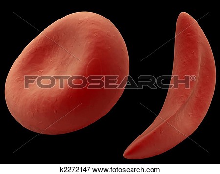 Stock Illustration   Sickle Cell  Fotosearch   Search Eps Clipart