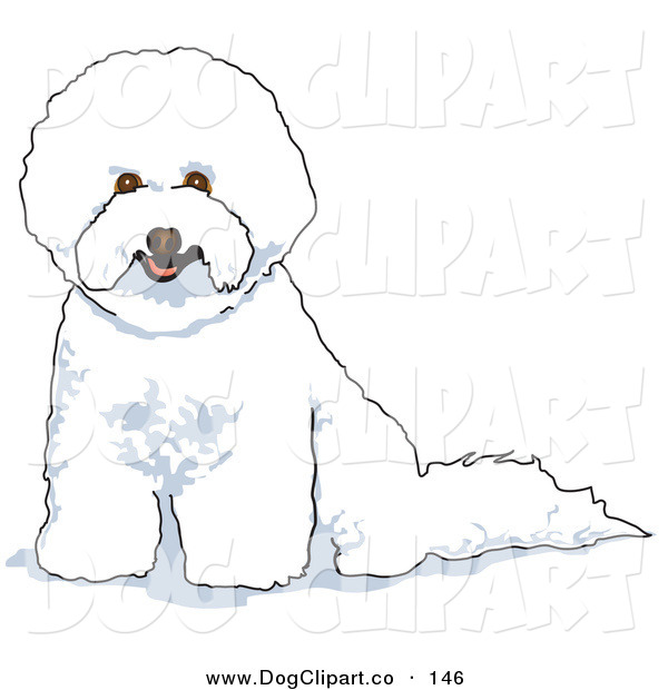 White Bichon Frise Dog Panting Dog Clip Art Andy Nortnik