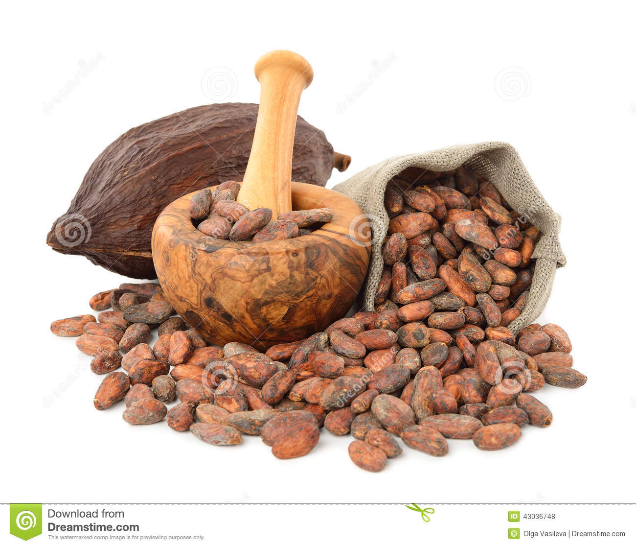 Cocoa Beans In A Bag Stock Photo   Image  43036748