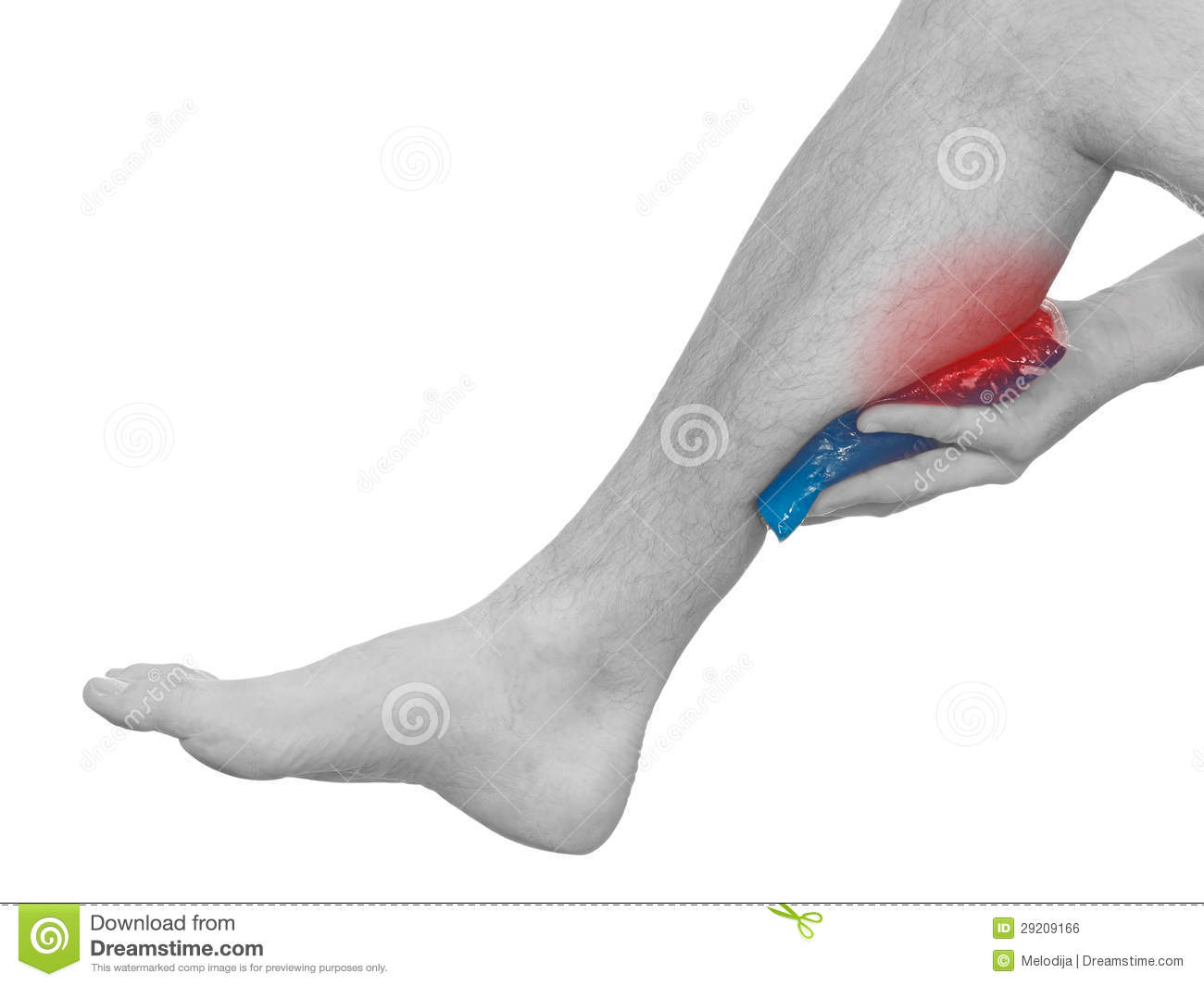 Cool Gel Pack On A Swollen Hurting Leg  Royalty Free Stock Image