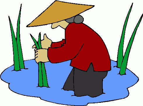 Farmer   Rice 1 Clipart   Farmer   Rice 1 Clip Art