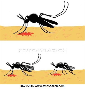 Of Mosquitoes In Action K6225946   Search Clip Art Drawings Fine Art