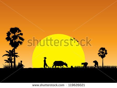Silhouette Of Asian Farmer Harrowing Rice Field Vector   Stock Vector