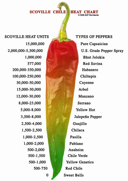 Chile Pepper Scoville Scale   Scoville Chart   Scoville Organoleptic