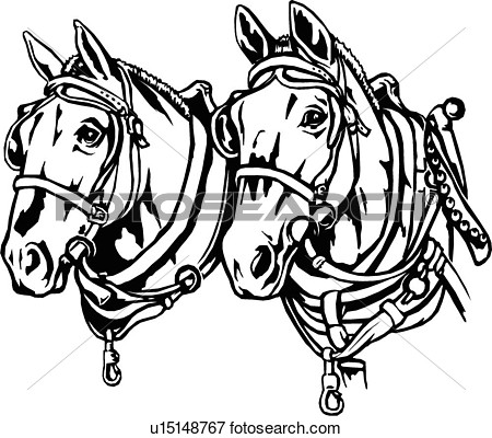 Illustration Lineart Animal Horse Horses Draft View Large Clip