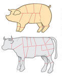 Meat Cuts Template How To Cut Meat Cows Ram Pigs