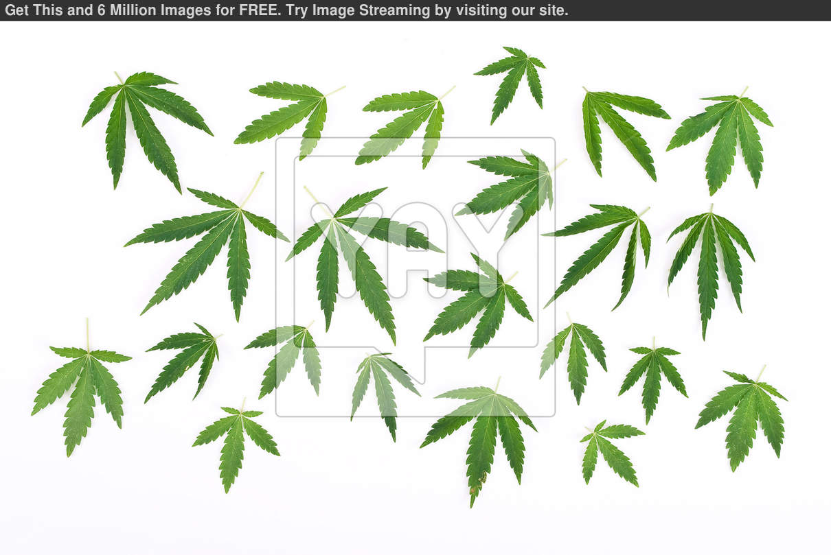 Weed Blunt Clipart Free Download Weed