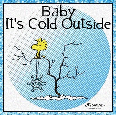 Woodstock    Baby It S Cold Outside    Snoopy And Peanuts   Pinter
