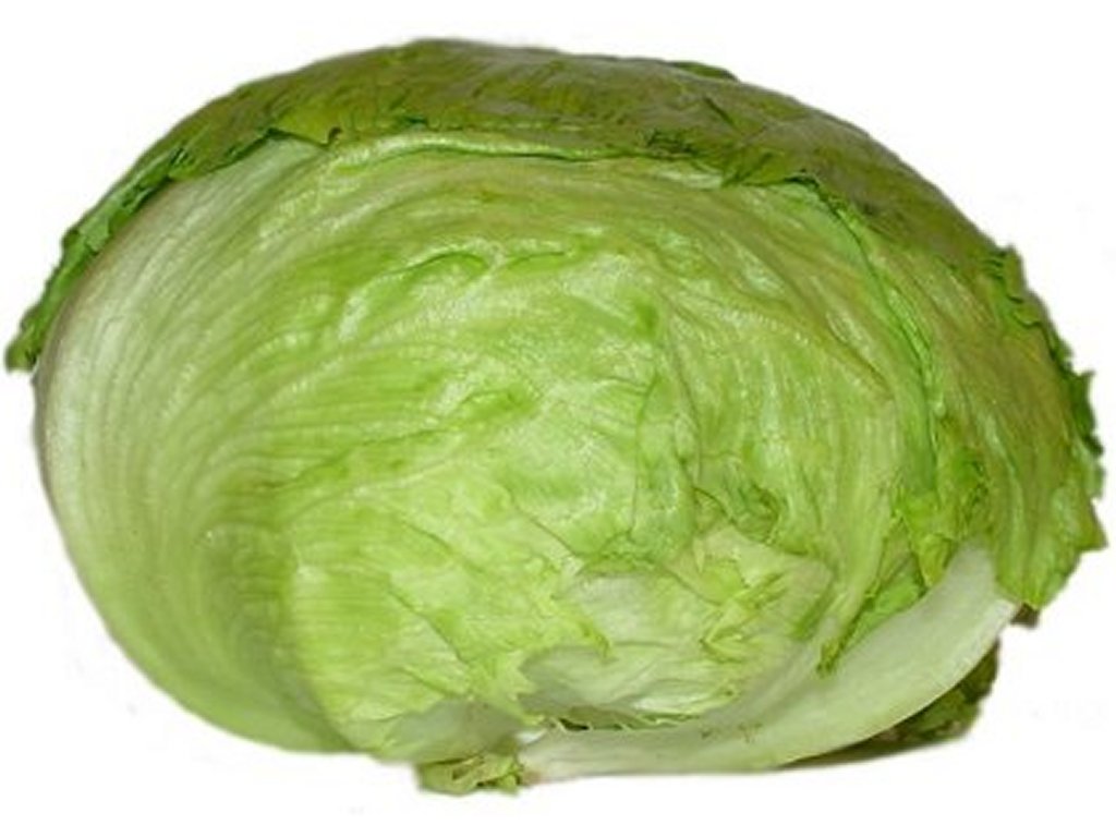 Free Lettuce Clipart Pictures