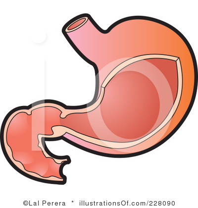 Full Stomach Clipart  Rf  Stomach Clipart