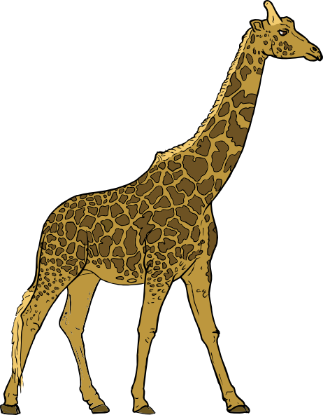 Giraffe Clip Art At Clker Com   Vector Clip Art Online Royalty Free    