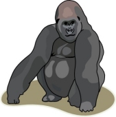 Gorilla Clipart And Graphics