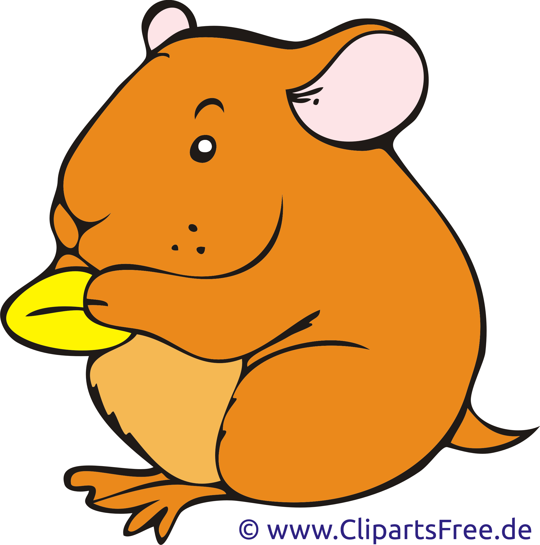 Hamster Clipart Bild Cartoon Kostenlos
