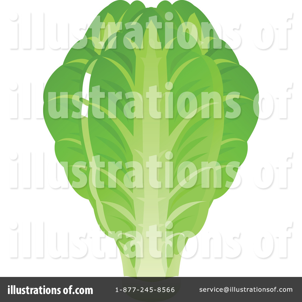 Lettuce Clipart  88323 By Tonis Pan   Royalty Free  Rf  Stock