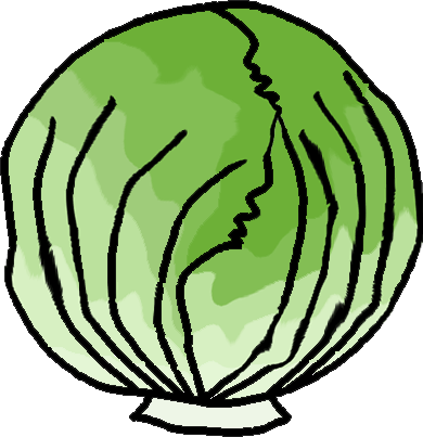 Lettuce Clipart Black And White   Clipart Panda   Free Clipart Images