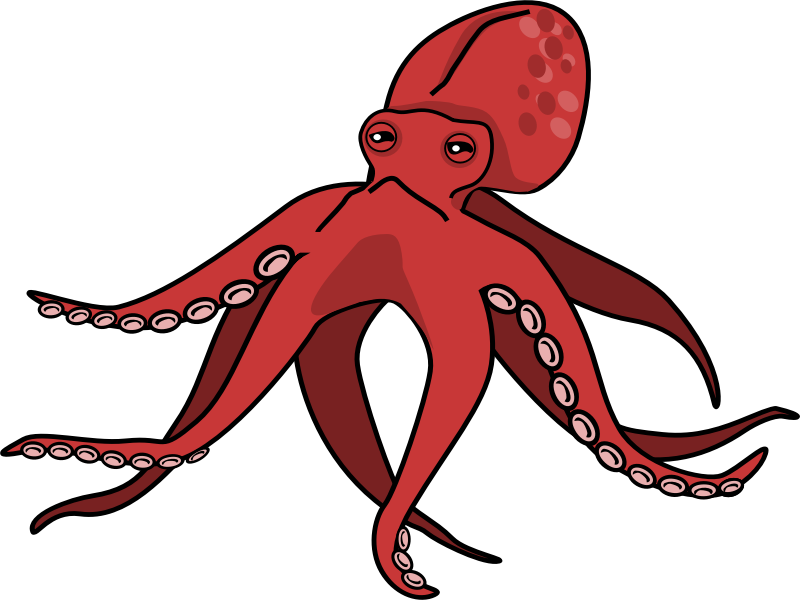Octopus9