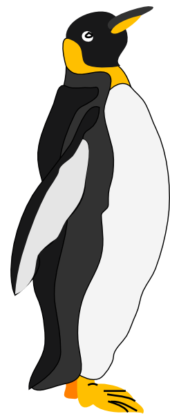 Penguin13