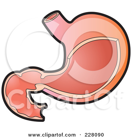 Stomach Clipart 228090 Royalty Free Rf Clipart Illustration Of A