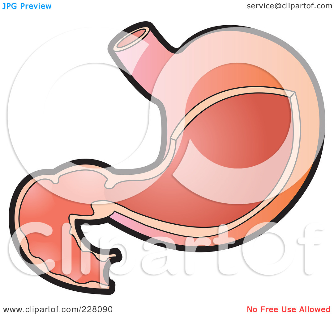 Stomach Clipart Royalty Free Rf Clipart Illustration Of A Stomach