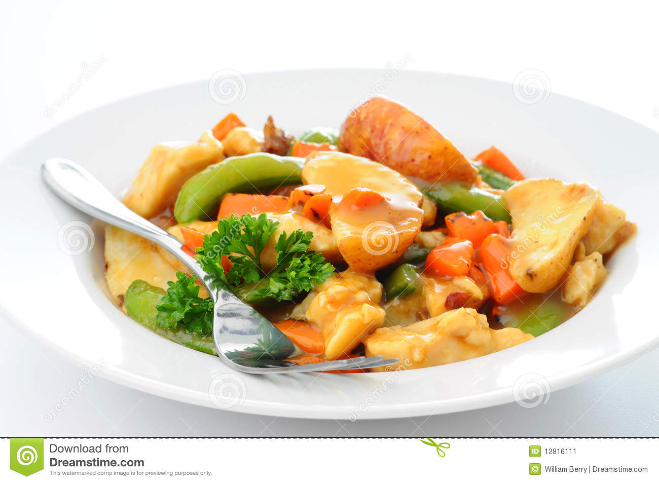 Chicken Stew Stock Image   Image  12816111