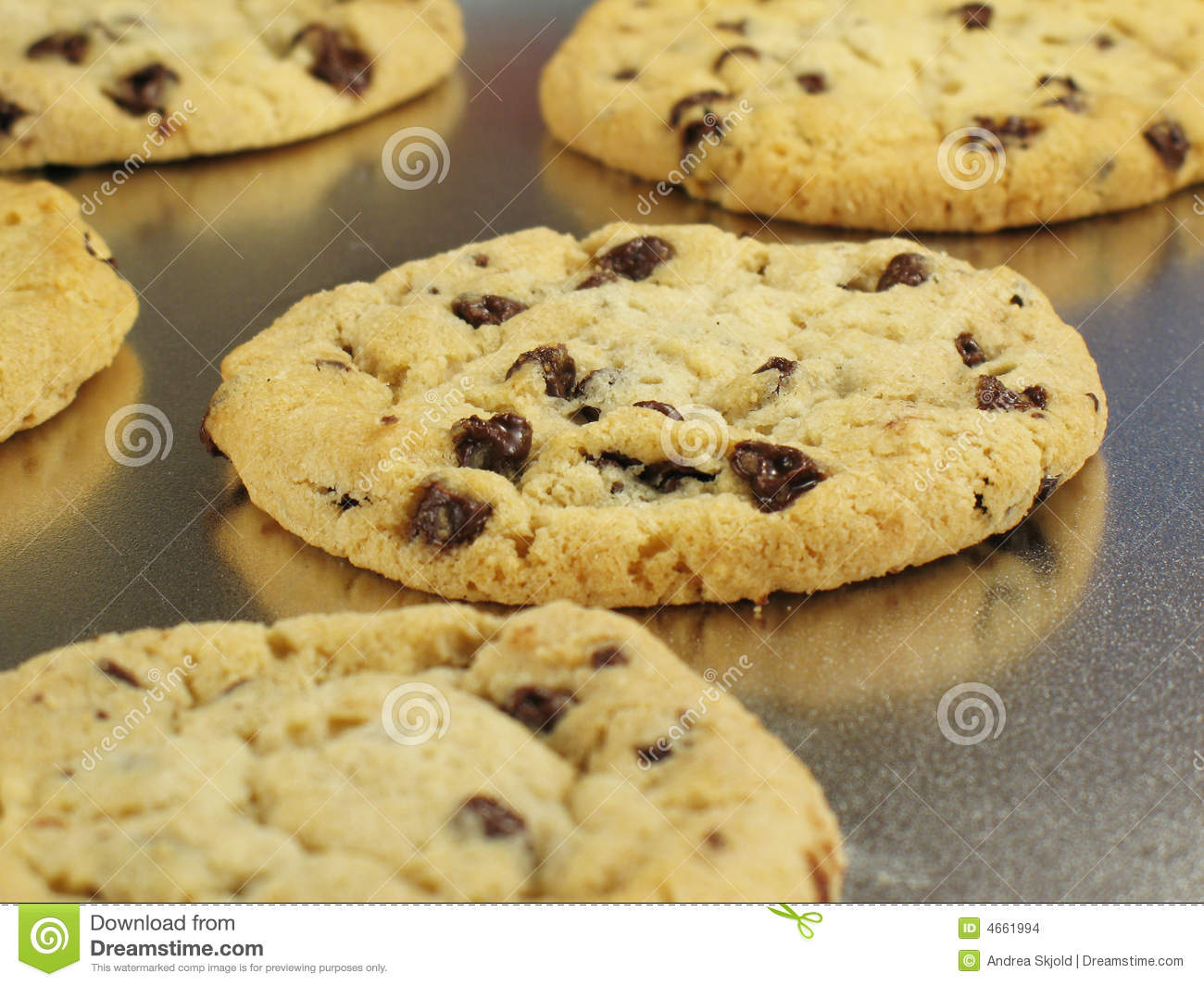 Chocolate Chip Cookies Warm And Gooey From The Oven  Shallow Depth Of    