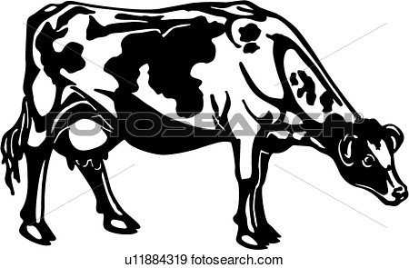Clip Art Of  Cattle Animal Breeds Cow Farm Holstein Livestock    