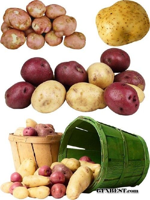 Clipart Of Potatoes