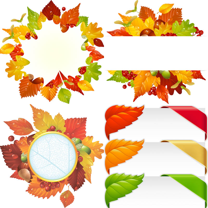     Fall Labels And Card Designs  Format  Eps Ai Stock Vector Clip Art