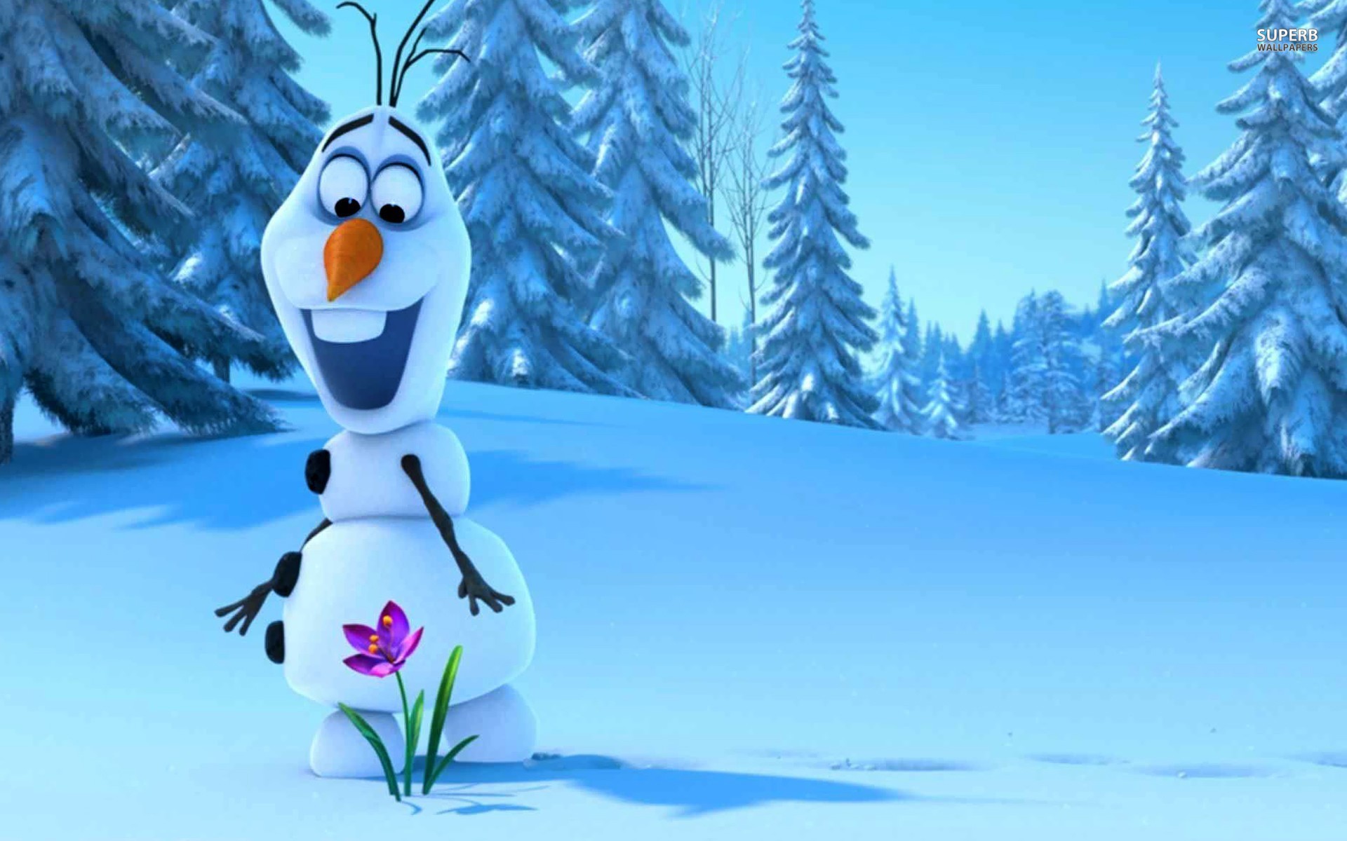 Frozen Olaf Wallpapers And Images   Wallpapers Pictures Photos