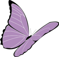 Lilaschmetterlingschmetterlingviolett