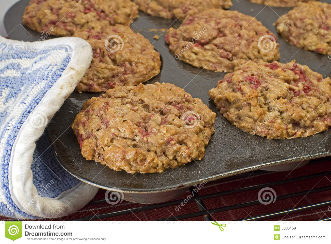 Warm Oat Berry Muffins Royalty Free Stock Images   Image  6805159