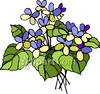 Bouquet Of Violets   Royalty Free Clipart Picture
