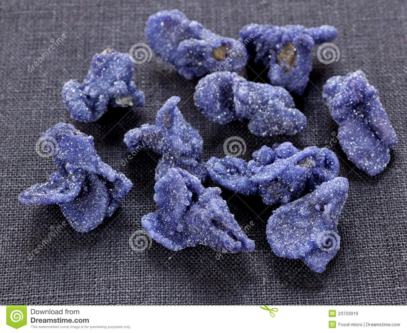 Crystallized Violets Royalty Free Stock Images   Image  23703919