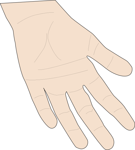 Hand Palm Clip Art Free Vector   4vector