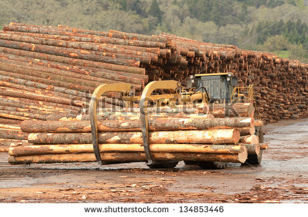 Lumber Processing Mill That Specializes In Small Logs   Stock Photo