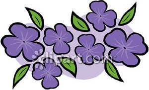 Simple Violets   Royalty Free Clipart Picture