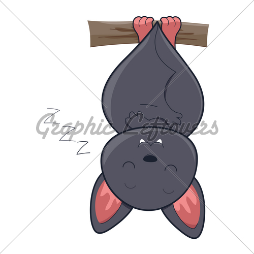 Cute Sleeping Bat With Clipping Path
