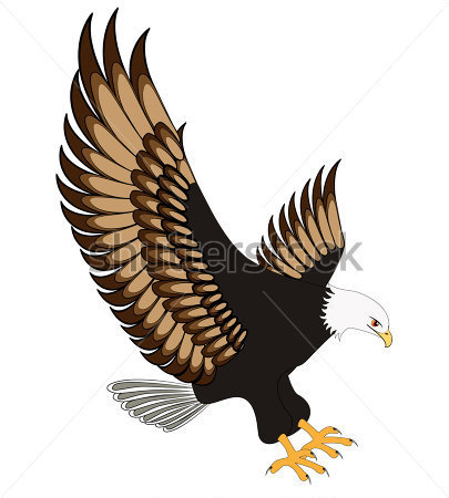 Flying Bald Eagle Cartoon Clip Art At Clker Com Vector Clip Art
