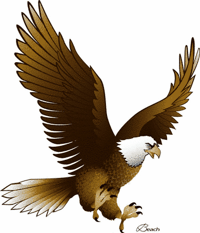Flying Eagle Clip Art Eagle Clipart