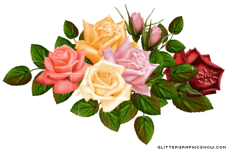 Glitter Roses Divider Graphics Code   Glitter Roses Divider Comments