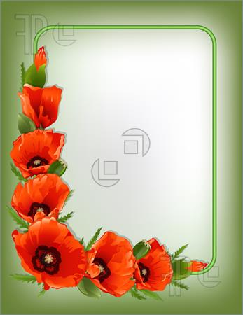 Illustration Of Red Poppies Floral Frame With Green Border Vector